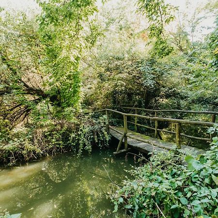 Forest House Palic Luaran gambar