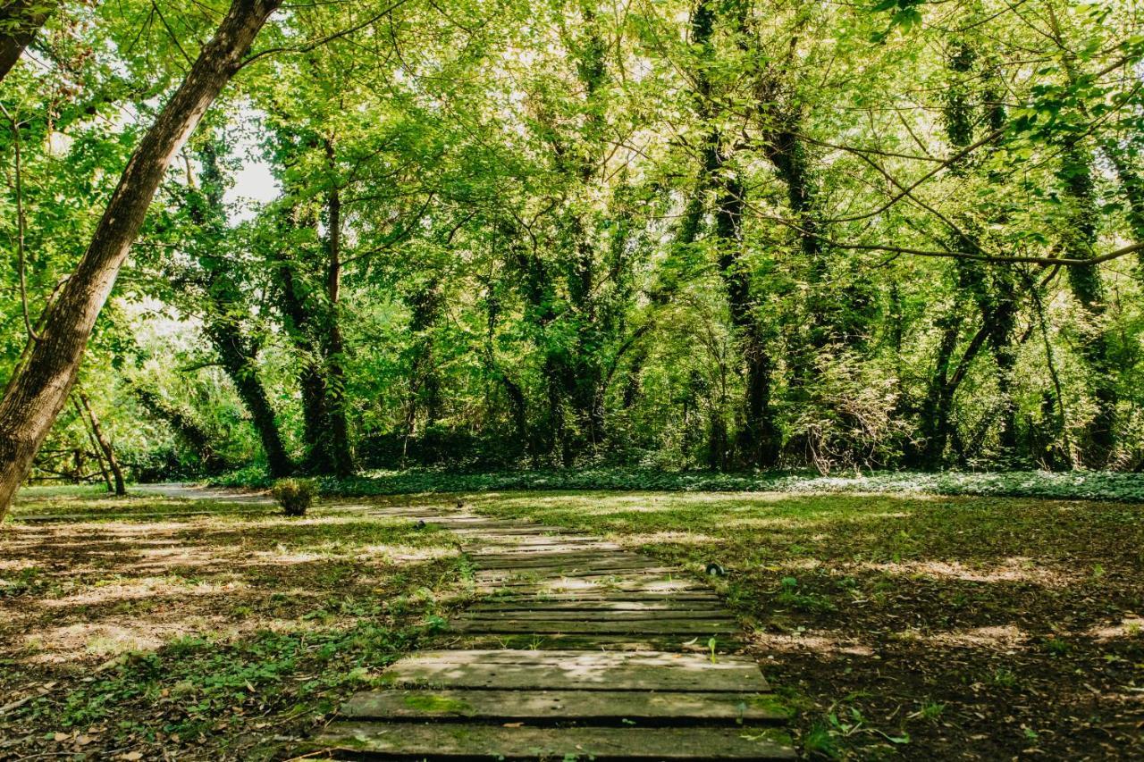 Forest House Palic Luaran gambar