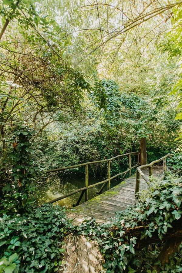 Forest House Palic Luaran gambar