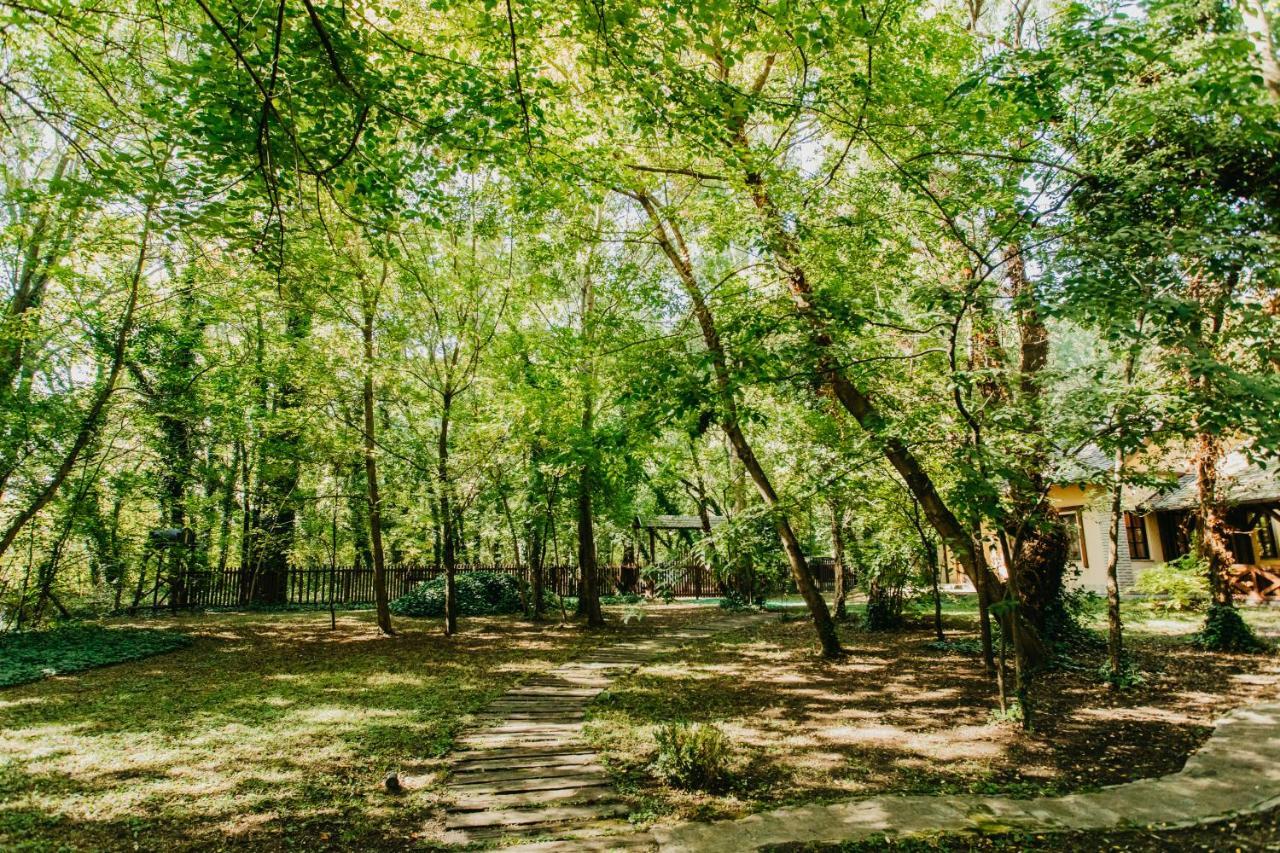 Forest House Palic Luaran gambar
