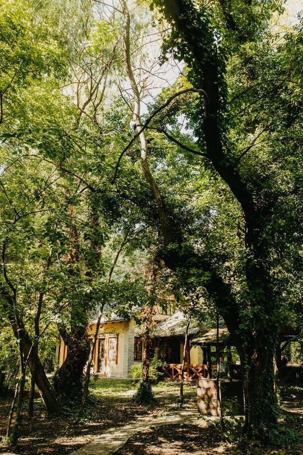 Forest House Palic Luaran gambar