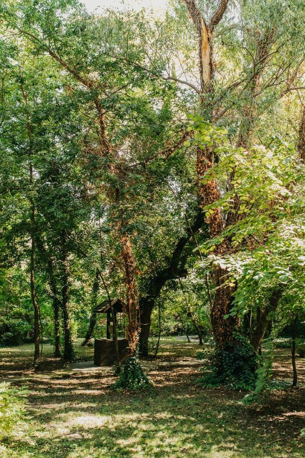 Forest House Palic Luaran gambar